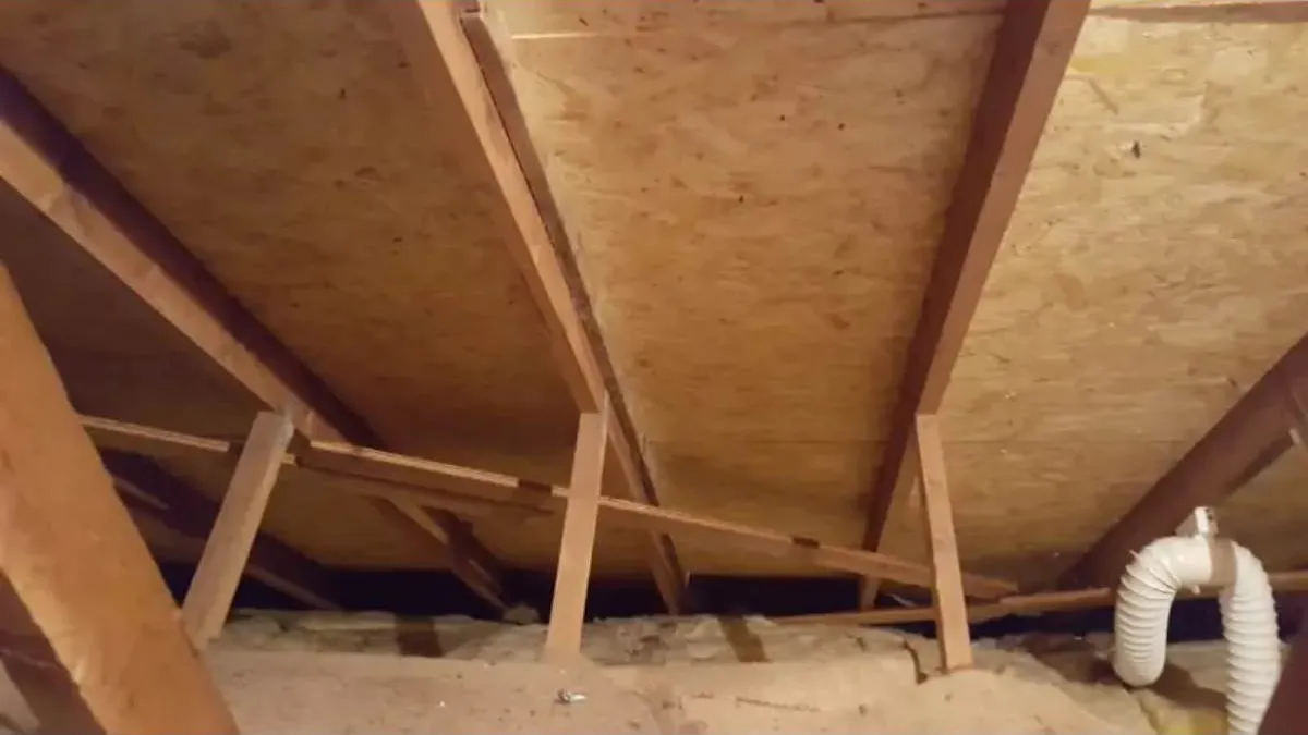 Roof timbers and sarking seen from inside a loft